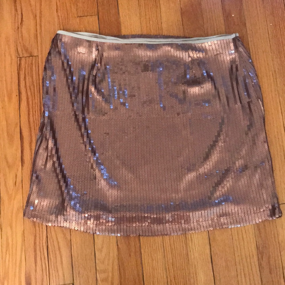Sequin Skirt
